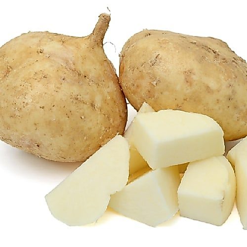 20 เมล็ด Jicama มันแกว เมล็ดพันธุ์ผักผลไม้