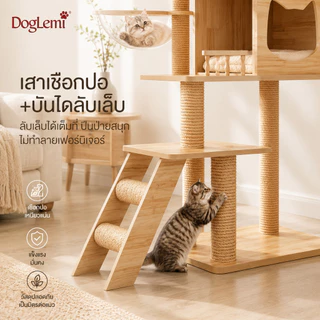 【DogLemi】คอนโดแมว XXL บ้านแมวไม้ ที่ลับเล็บแมว โดมใสแมว 360° คอนโดแมวขนาดใหญ่ ของเล่นแมวครบชุด