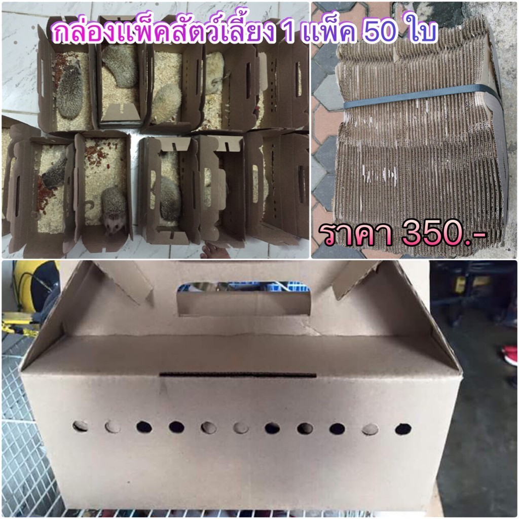 ส่งด่วน กล่อง**แพ็ค**สัตว์เลี้ยงใหญ่ กว้าง12.5x ยาว25.5 x สูง11.5 CM ส่งด่วน