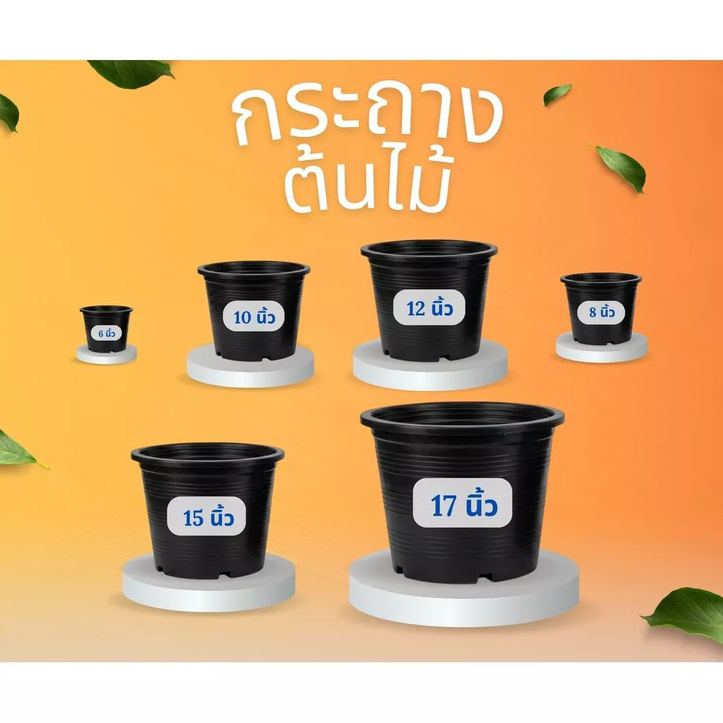 กระถางต้นไม้ กระถาง กระถางพลาสติก ขนาด 4 นิ้ว 5 นิ้ว 6 นิ้ว 8 นิ้ว 10 นิ้ว 12 นิ้ว (สีดำ)