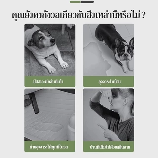 แผ่นรองฉี่สุนัข🐶ชาร์โคล(หนาขึ้น) รุ่นชาโคล แผ่นรองฉี่แมว ช่วยฝึกขับถ่าย การดูดซับน้ำ6ชั้น ระงับกลิ่นได้ดี