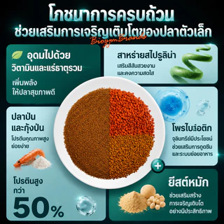 BIOZYM Mini อาหารปลาพรีเมียม สำหรับปลาสวยงาม โปรตีนสูง วิตามินครบ ช่วยเสริมการเจริญเติบโตและสีสันสดใส COD