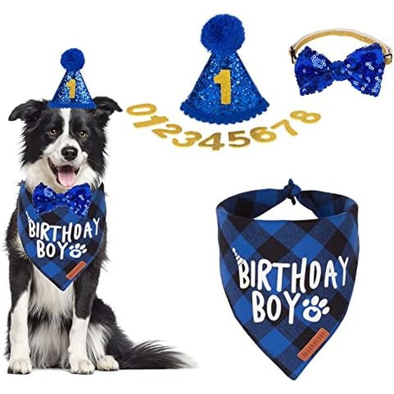 เสนอสําหรับปาร์ตี้ X-Large Bandana Blue Size Dogs Bow (X-Large) สัตว์เลี้ยง Multi Birthday Supplies,
