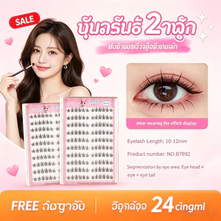 ขนตาปลอมแบบช่อทานตะวัน ปลอดกาว ดัดลอนธรรมชาติ ติดทนนาน ถอดง่าย แพ็คใหญ่ GoldenKey