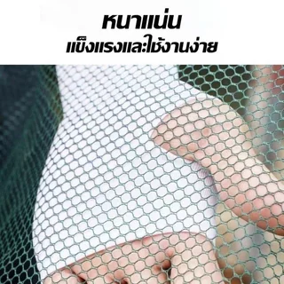 กระชังดักปลา ตาข่ายดักปลา ยอยกปลา พับได้ พกพาง่าย ดักกุ้ง ดักปู อวนดักปลา ตาข่ายไนลอน