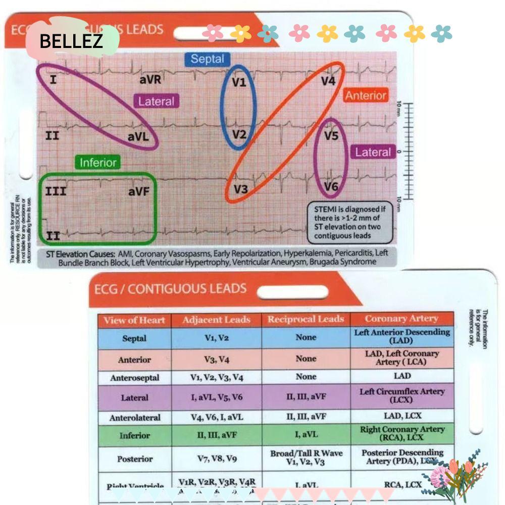 ไม้บรรทัด BELZ ECG 7 ขั้นตอน, คาลิปเปอร์ EKG โปร่งใสแนวตั้งแนวนอน, ไม้บรรทัด ECG พลาสติกแบบพกพา