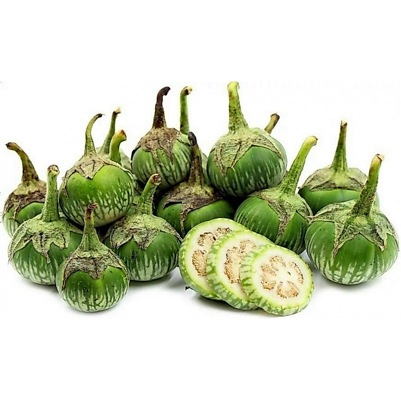 150 เมล็ด เมล็ดมะเขือ Eggplant Seeds สายพันธุ์นอก ROUND GREEN EGGPLANT
