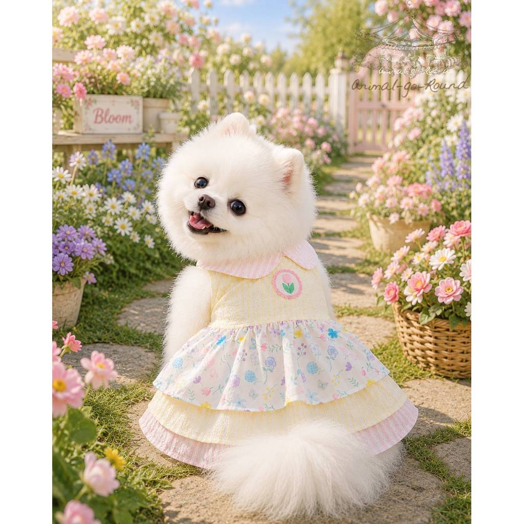 AGR797-Animal-Go-Round เสื้อผ้าเครื่องแต่งกาย สัตว์เลี้ยง, หมา, แมว, สุนัข รุ่น Floral Dreamland