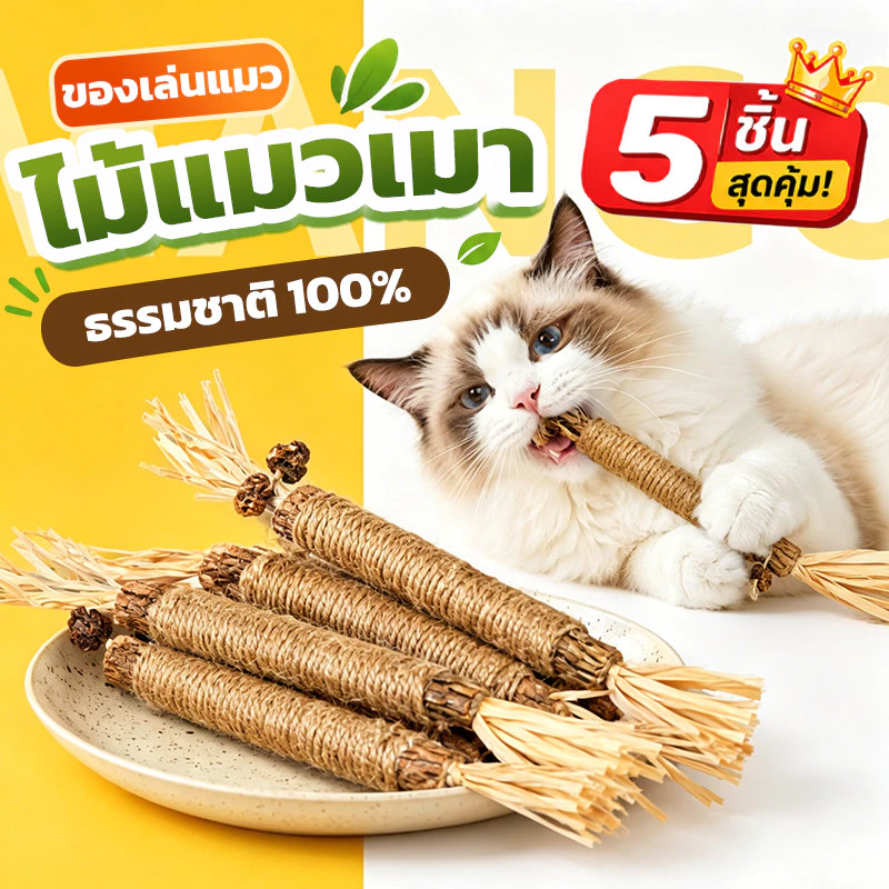 Mango ไม้แมวเมา 5 ชิ้น ฟันกรามแมว ไม้ขัดฟันแมว ของเล่นแมว ลดคราบหินปูน เหมาะสำหรับแทะกัญชาแมว หวายทำความสะอาดฟัน