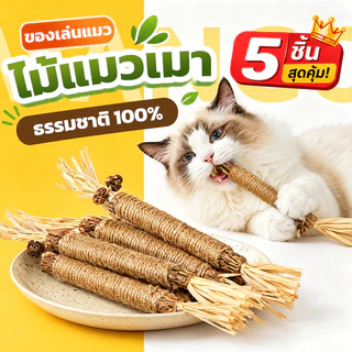 Mango ไม้แมวเมา 5 ชิ้น ฟันกรามแมว ไม้ขัดฟันแมว ของเล่นแมว ลดคราบหินปูน เหมาะสำหรับแทะกัญชาแมว หวายทำความสะอาดฟัน