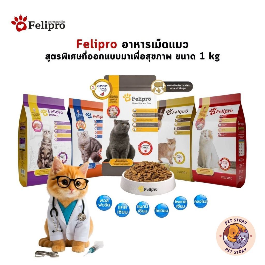 Felipro เฟลิโปร อาหารเม็ดแมว สูตรพิเศษที่ออกแบบมาเพื่อสุขภาพที่ดีของแมวทุกสายพันธุ์ ขนาด 1 กิโลกรัม (ถุงแบ่ง)