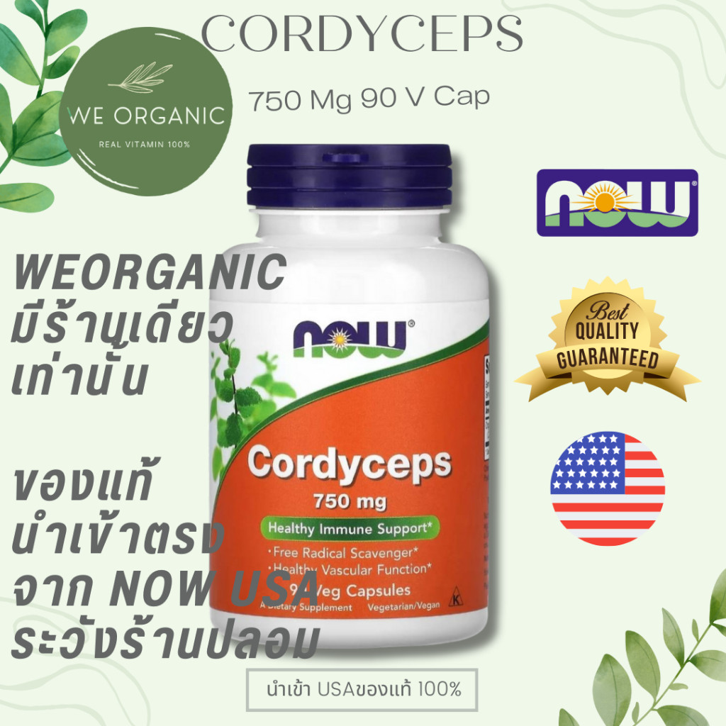 [พร้อมส่ง] Cordyceps ถั่งเช่า 750 mg ดูแลพลังงานและความพร้อมของร่างกาย  Now Food