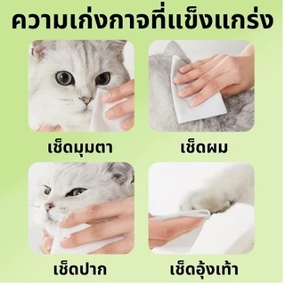 COD ทิชชู่เปียก 80 แผ่น สำหรับเช็ดสัตว์เลี้ยง ทิชชู่เปียกสัตว์เลี้ยง ทิชชู่เปียก