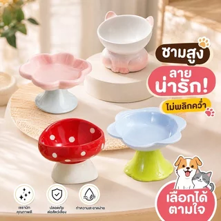 ชามอาหารแมว เซรามิก กันคว่ำ ชามอาหารสัตว์เลี้ยง ชามแมว ชามสุนัข ถ้วยอาหารแมว ฐานสูง