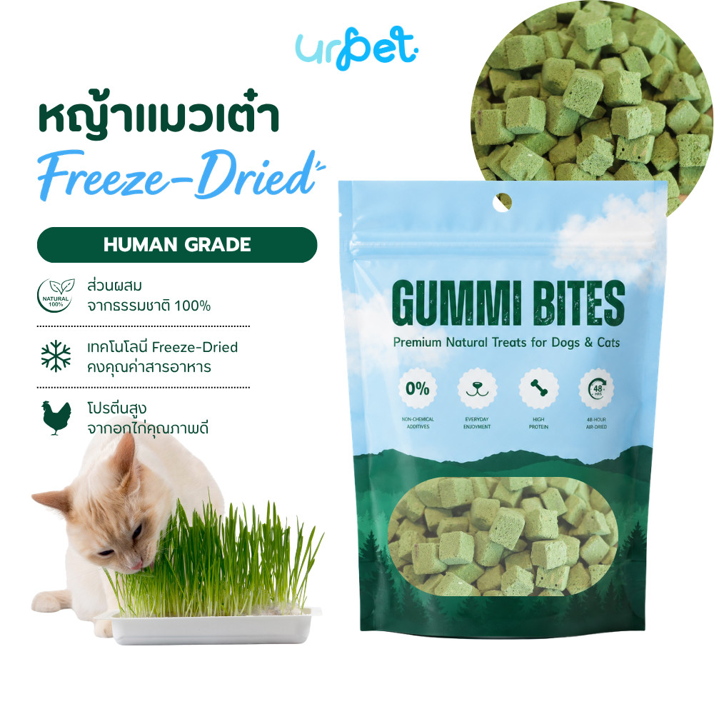 หญ้าแมวเต๋า Freeze-Dried 50g  ไม่ใส่สีผสมอาหาร ขนมแมว GUMMI BITES