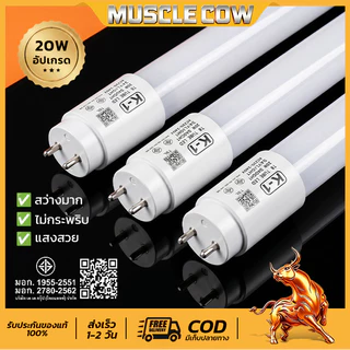 MUSCLE COW หลอดไฟ T8 LED ยาว1.2M 20W อัปเกรด มอก. ไม่กระพริบ สว่างมาก สำนักงาน โรงงาน ร้านค้า