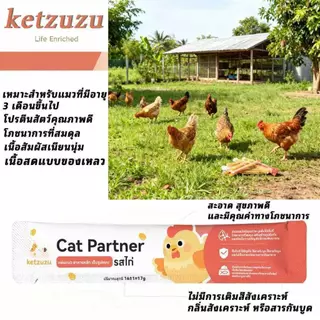 Ketzuzu ขนมแมวเลีย สูตรสุขภาพดี （365 ซอง） ลดขนร่วง ดูแลผิวหนัง ขนมแมว 16g อาหารเปียกแมว ขนมสำหรับแมวตลอดทั้งปี