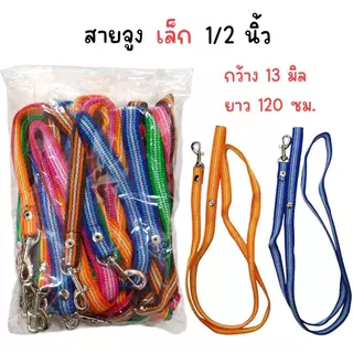 (ยกแพ็ค) ปลอกคอหมา ปลอกคอแมว สายจูงสัตว์เลี้ยง