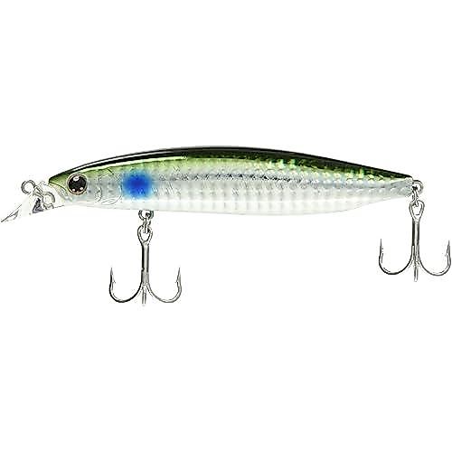 DAIWA Shoreline Shiner Z Vertis R 98F