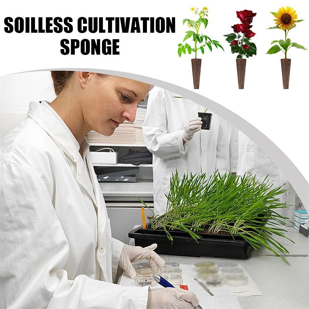 Grow Sponges Soilless Cultivation Sponge Seed Starter Pods เปลี่ยนราก , รีฟิล B7l5
