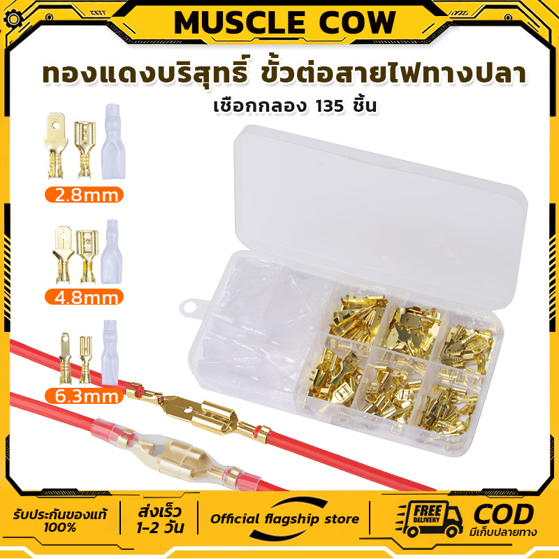 MUSCLE COW ขั้วต่อสปริงขนาด 2.8/4.8/6.3 มม. ขั้วต่อสายไฟแบบถอดได้และเสียบได้ ทำจากทองแดง พร้อมกล่องบรรจ