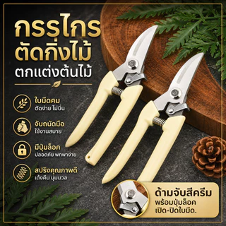 [พร้อมส่ง] กรรไกรตัดกิ่งไม้ แต่งกิ่งไม้ ปากโค้ง ปากตรง ขนาด 7 นิ้ว สีครีม ใช้งานอเนกประสงค์ ราคา/ชิ้น พร้อมส่งในไทย