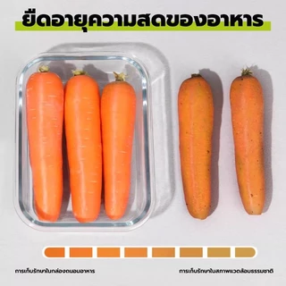GREENIKA กล่องแก้วเก็บอาหาร ถนอมอาหาร มีซีลยางกันรั่วซึม ฝาล็อค2ชั้น ใช้ในตู้เย็นได้และเข้าไมโครเวฟได้
