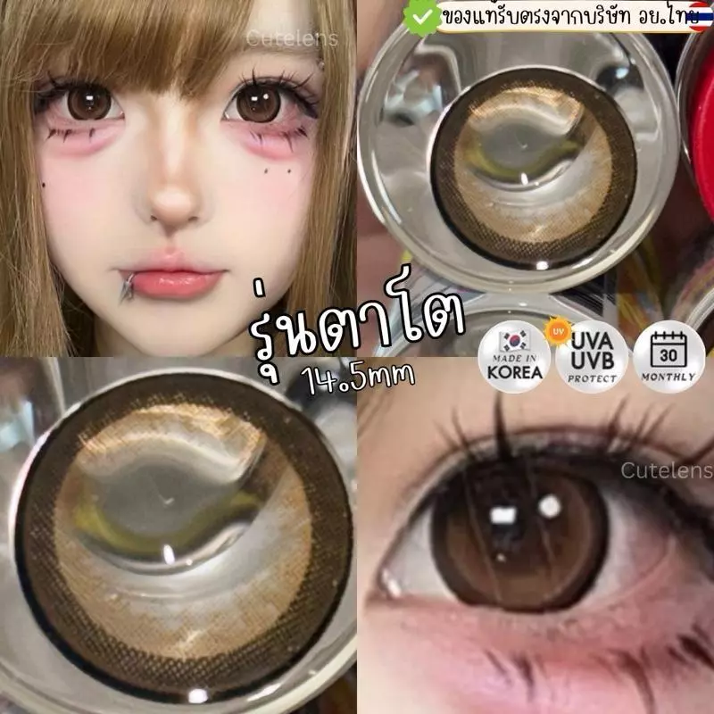 sakura.Brown รุ่นตาโต 14.5mm เลนส์ไฮโดรเจล นิ่มใส่สบาย คอนแทคเลนส์ไทย รายเดือน คอนแทคเลนส์สีน้ำตาลตาโต