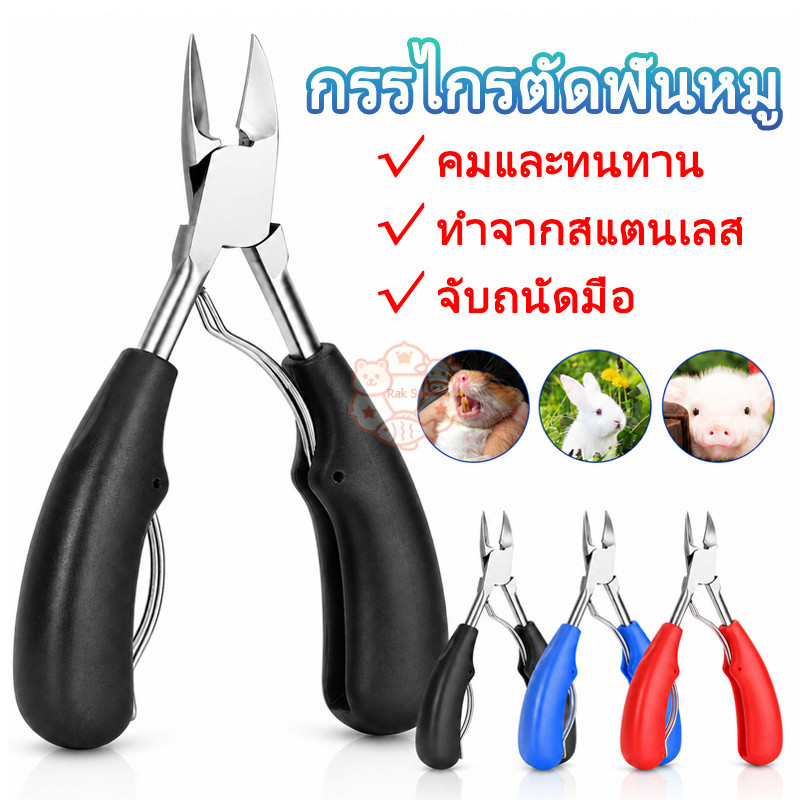 กรรไกรตัดฟันหมู กรรไกรตัดฟันกระต่าย กรรไกรตัดเขี้ยวหมู คีมตัดฟันกระต่ายสแตนเลส ตัดฟันสุกรได้สะอาด ไม่เจ็บเหงือก