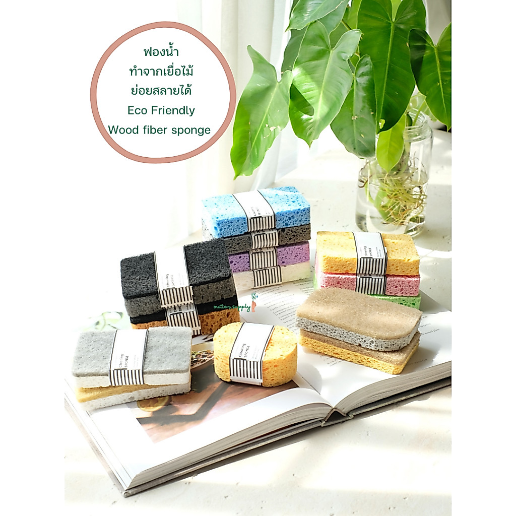 Wood fiber sponge ฟองน้ำ ธรรมชาติ เยื่อไม้ ย่อยสลายได้ eco friendly