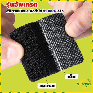 Sotaya เทปตีนตุ๊กแกมีกาวในตัว แบบ ขน+หนาม และ มีกาวด้านนอก ติดผ้าม่าน ติดหน้าต่าง 5Pcs/แพ็ค Nylon Buckle
