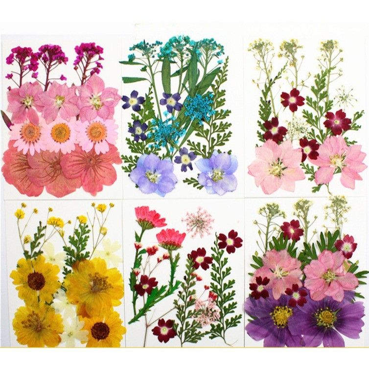 SSweet Rainbow 15pcs แพคเกจขนาดเล็กน่ารัก  ดอกไม้แห้งดอกไม้จริงบุ๊คมาร์คเรซิ่นหยดกาววัสดุ DIY