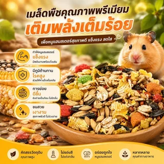 อาหารแฮมสเตอร์ อาหารหนูแฮมเตอร์ ธัญพืชผสม หนอนนกอบแห้ง กุ้งแห้ง ผักผลไม้แห้ง สัตว์ฟันแทะ
