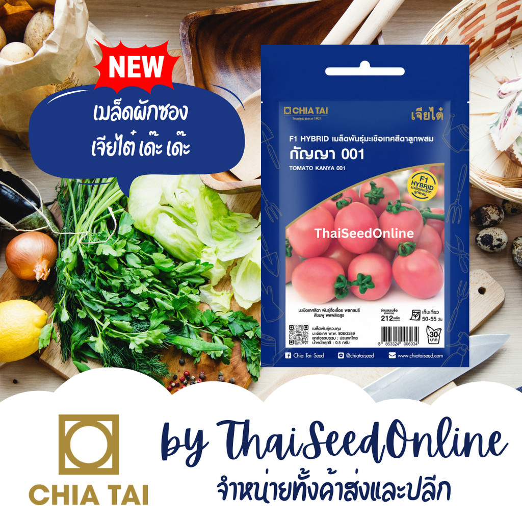 CTSE เมล็ดพันธุ์ มะเขือเทศสีดา กัญญา 001 0.5 กรัม ตราเจียไต๋ Tomato Kanya001