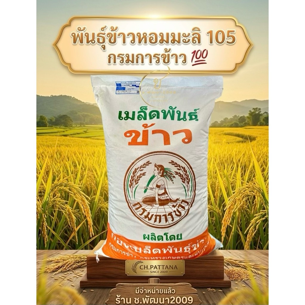 ✅มีของพร้อมส่ง🌾 เมล็ดพันธุ์ข้าวหอมมะลิ105 กรมการข้าว ปี2569 ฉลากฟ้า(ศูนย์เมล็ดพันธุ์) ชั้นพันธุ์จำหน่าย 25 กิโลกรัม