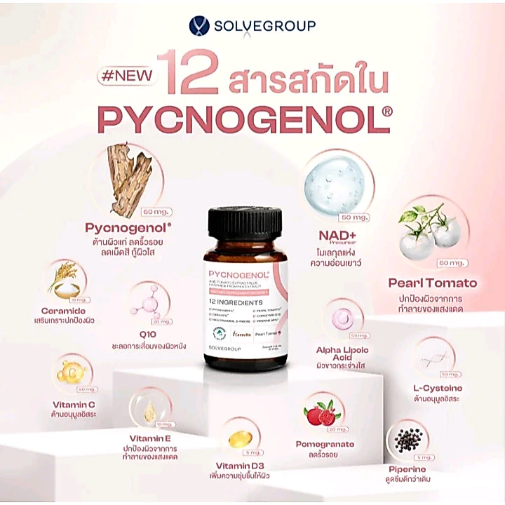 SOLVEGROUP วิตามินดูแลผิว Pycnogenol 30 แคปซูล สำหรับผู้มีอายุ 40+ บรรจุ 30 แคปซูล สารสกัดจากมะเขือเทศและเซราไมด์ จากข้