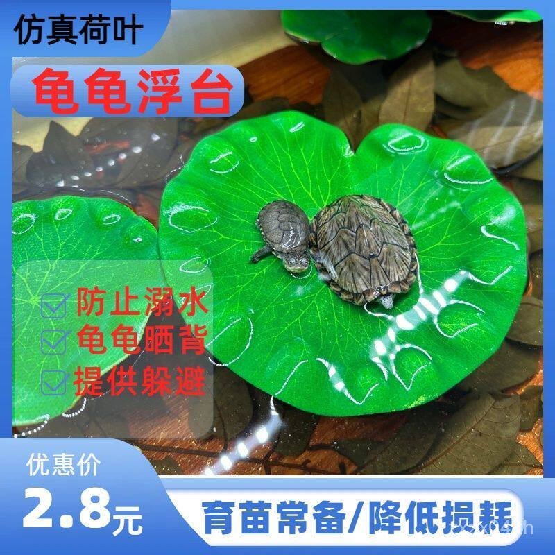 สินค้าใหม่ Lotus Leaf Turtle Sunning Platform Floating Platform Supplies Brazilian Turtle Climbing P