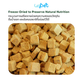อกไก่ผสมฟักทอง Freeze-Dried ฟรีซดราย สุนัขและแมว เกรดพรีเมียม 50g GUMMI BITES