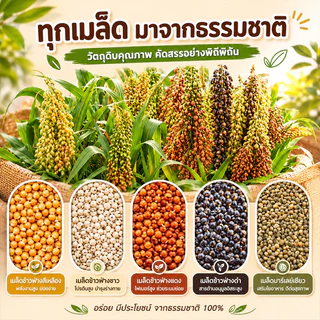 🦜อาหารนกแก้ว อาหารนกข้าวฟ่างห้าสี อาหารนกลูกป้อน ผสมธัญพืชอาหารนกแก้ว นกแก้วส่วนใหญ่เหมาะสม