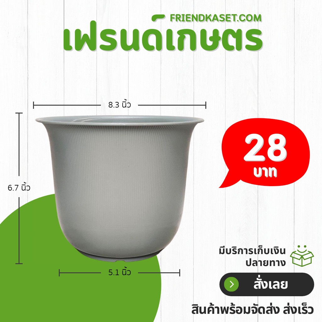 กระถาง กระถางต้นไม้ มินิมอล ถ้วยจีน ขนาด 12 นิ้ว สีเทา Bundle 5 ใบ ชิ้น อัน