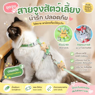 สายจูงสัตว์เลี้ยง เชือกจูงแมว สามารถปรับได้ ป้องกันการคลายตัว สายจูงแมวน่ารัก
