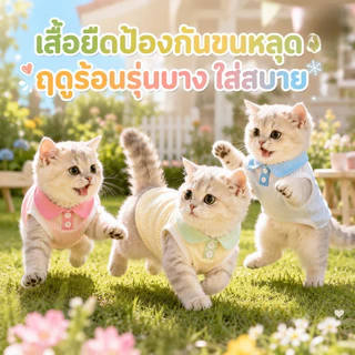 เสื้อผ้าสัตว์เลี้ยงน่ารัก ชุดแมวแฟชั่น เสื้อคอปก เสื้อยืดลายสัตว์เลี้ยง สวมใส่และถอดออกได้ง่าย ระบายอากาศ