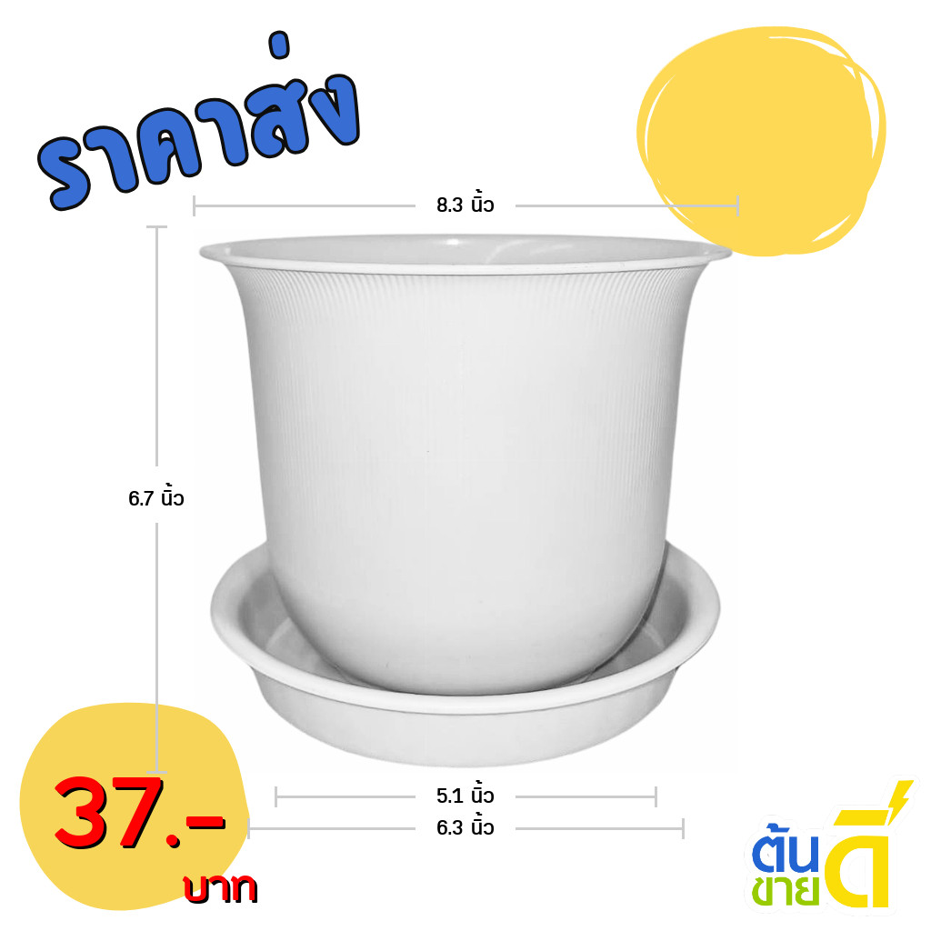 กระถางต้นไม้ มินิมอล ขนาด 8 นิ้ว สีขาว ขั้นต่ำ 3 ใบ ชิ้น อัน