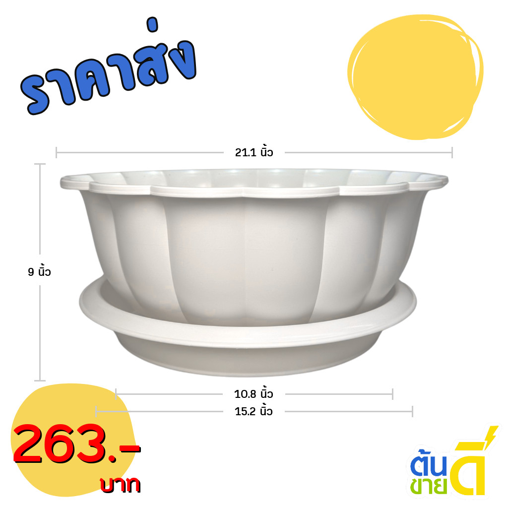 กระถาง อ่างเลี้ยงปลา อ่างบัว อ่างบัวจีบ 20 21 นิ้ว สีเขียวพาสเทล สีขาว ขั้นต่ำ 2 ใบ ชิ้น อัน