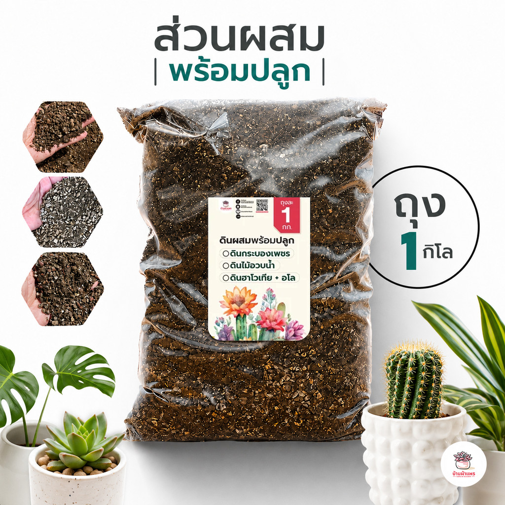 [ 1 กก. ] ดินผสมพร้อมปลูกไม้อวบน้ำ กุหลาบหิน กระบองเพชร Cactus&Succulent