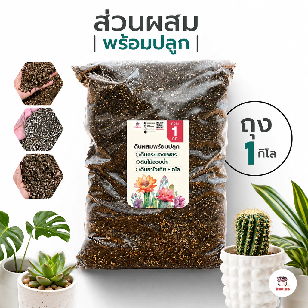 [ 1 กก. ] ดินผสมพร้อมปลูกไม้อวบน้ำ กุหลาบหิน กระบองเพชร Cactus&Succulent