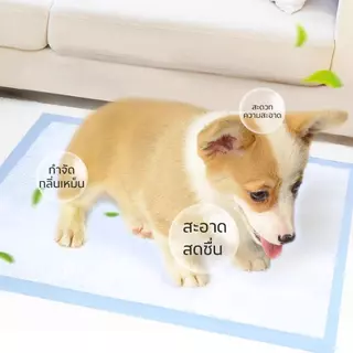 Mango ซื้อ 1 แถม 1 แผ่นรองฉี่สุนัข แผ่นรองฉี่ ต่อต้านแบคทีเรีย ซึมซับไดีดี ผ้ารองฉี่ ถาดรองฉี่สุนัข แผ่นรองฉี่แมว