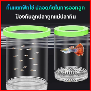 กล่องฟักไข่ปลาที่ลอยได้ กล่องคลอดปลา กล่องฟักลอย ปกป้องไข่ปลา เพิ่มอัตราการรอดชีวิตของปลา เสถียรไม่พลิกด้านง่าย