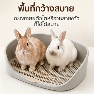 ห้องน้ํากระต่าย สองชั้นที่ถอดออกได้ ช่วยกระต่ายตรึงสถานที่เข้าห้องน้ำ ทำความสะอาดง่าย ลดกลิ่นเหม็น ﻿