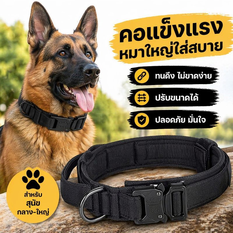 ปลอกคอสุนัข ไนลอนหนา ปรับได้ แข็งแรง หัวเข็มขัดโลหะ D ring ด้ามจับ สุนัขกลางใหญ่ M L XL